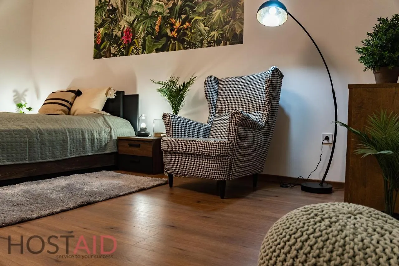 D68 Apartment - Hostaid 布达佩斯