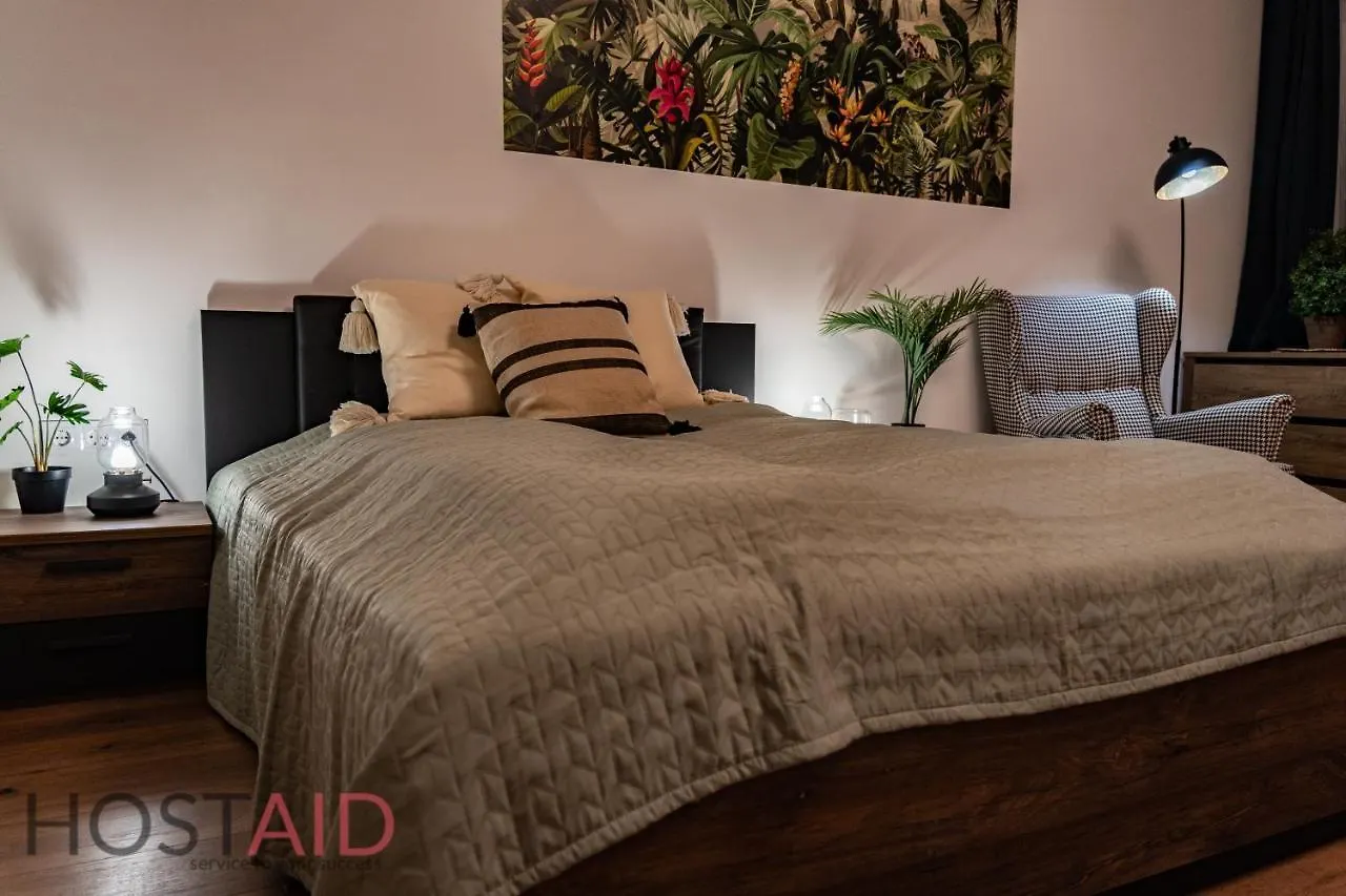 D68 Apartment - Hostaid 布达佩斯